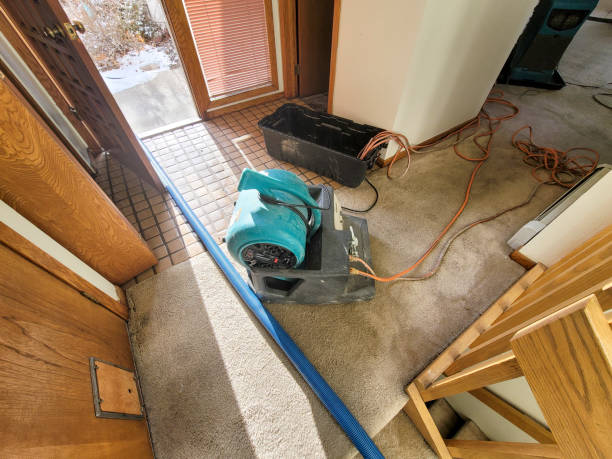 Best Water damage restoration company  in Grasonville, MD