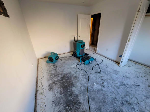 Best Flood restoration services  in Grasonville, MD
