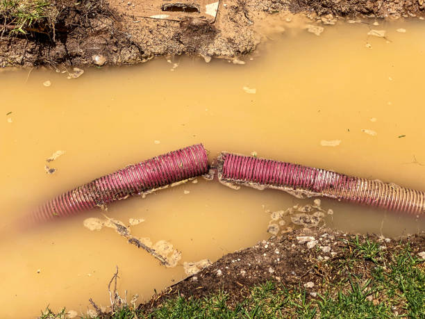 Best Water damage mitigation services  in Grasonville, MD